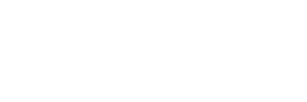 logo-bearsenses